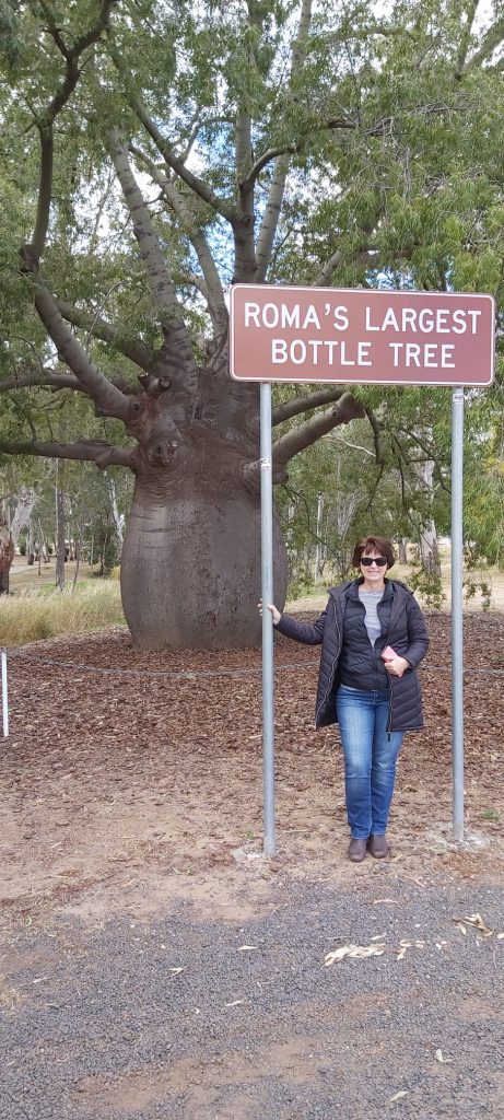 Bottle tree - Roma 