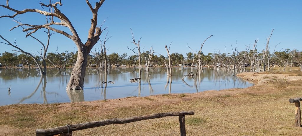 Lara’s Wetlands